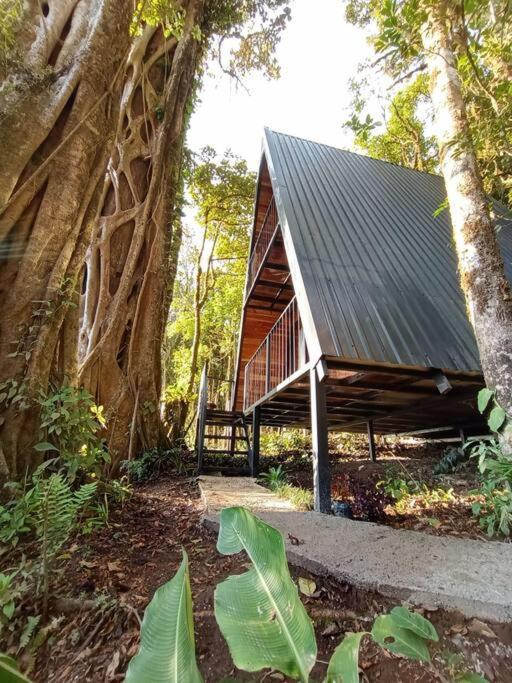 فيلا Casa Del Arbol الجبل الأخضر المظهر الخارجي الصورة