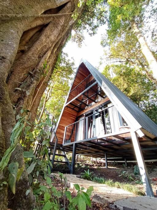 فيلا Casa Del Arbol الجبل الأخضر المظهر الخارجي الصورة